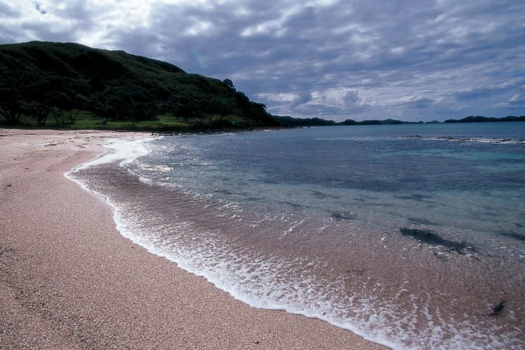 Pink Beach long view